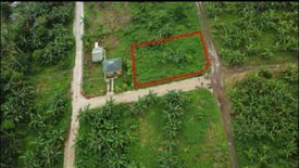 Land for sale in Tubuan II, Cavite