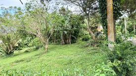 Land for sale in Ponderosa Leisure Farms, Narra II, Cavite