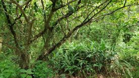 Land for sale in Mag-Asawang Ilat, Cavite