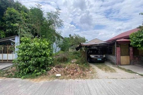 Land for sale in Dela Paz Sur, Pampanga