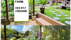 Land for sale in Bunducan, Batangas