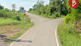 Land for sale in Wang Samrong, Phichit