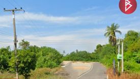 Land for sale in Wang Samrong, Phichit