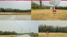 Land for sale in Buak Khang, Chiang Mai