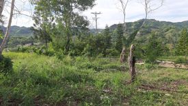 Land for sale in Talamban, Cebu