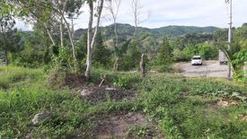 Land for sale in Talamban, Cebu