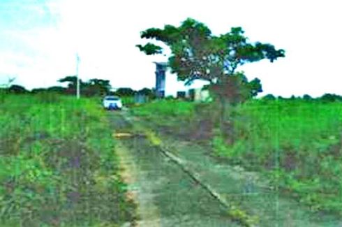 Land for sale in Bitas, Nueva Ecija