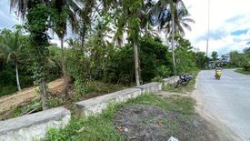 Land for sale in San Isidro, Bohol