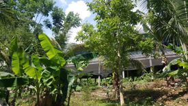 Land for sale in Tananas, Cebu