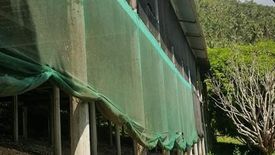 Land for sale in Tananas, Cebu