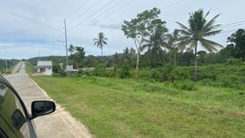 Land for sale in Sambulawan, Misamis Oriental