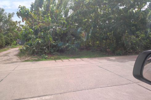 Land for sale in Bolod, Bohol
