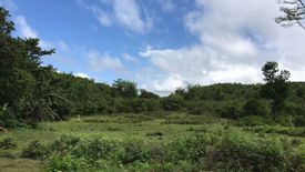 Land for sale in Pasihagon, Siquijor