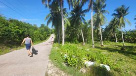 Land for sale in Biking, Bohol