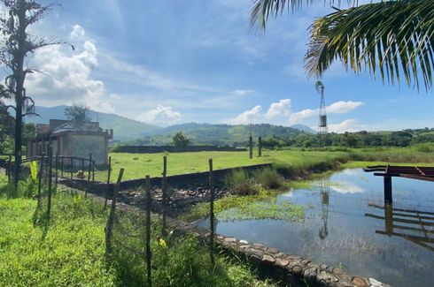 Land for sale in Bamban, Zambales