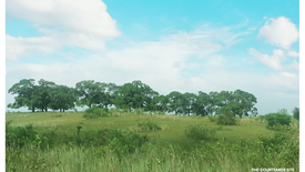 Land for sale in The Courtyards by Ayala Land Premier, Anabu I-A, Cavite