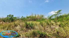 Land for sale in Bulacao, Cebu