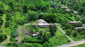 Land for sale in Mae Pong, Chiang Mai