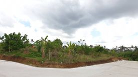 Land for sale in Pulong Bunga, Cavite