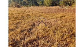 Land for sale in Aponit, Pangasinan