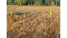 Land for sale in Aponit, Pangasinan