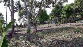Land for sale in Inocencio, Cavite