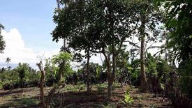 Land for sale in Inocencio, Cavite