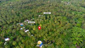 Land for sale in Angalan, Davao del Sur