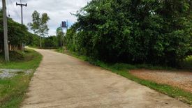 Land for sale in Tha Sop Sao, Lamphun