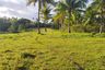 Land for sale in Bugsoc, Bohol