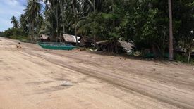 Land for sale in Aramaywan, Palawan