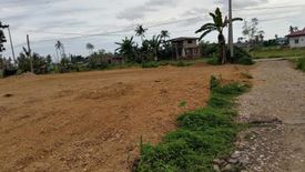 Land for sale in Tulic, Cebu