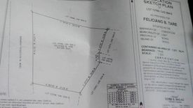 Land for sale in Poblacion Ibabao, Bohol
