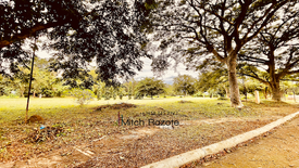 Land for sale in Santo Domingo, Laguna