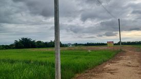 Land for sale in Tha Pho, Phitsanulok