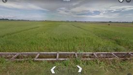 Land for sale in LaPaz, Pampanga