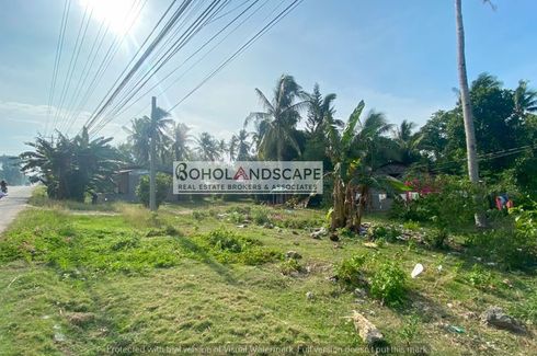 Land for rent in Looc, Bohol