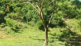 Land for sale in Kabkaban, Cebu