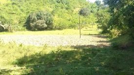 Land for sale in Kabkaban, Cebu