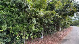 Land for sale in Klaeng, Rayong