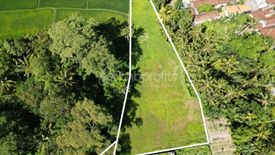 Tanah dijual dengan  di Abianbase, Bali