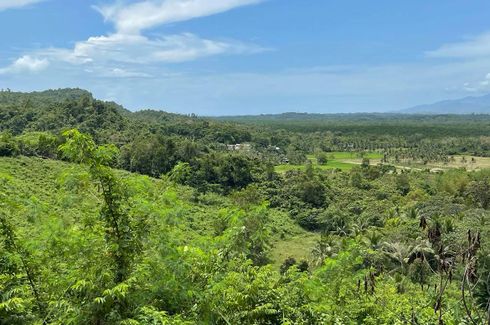 Land for sale in San Jose, Palawan