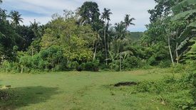 Land for sale in Bool, Bohol