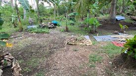 Land for sale in Bil-Isan, Bohol
