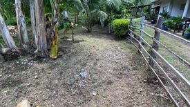 Land for sale in Bil-Isan, Bohol