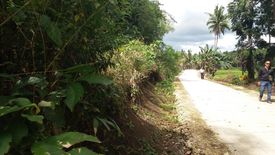 Land for sale in Abucay Sur, Bohol