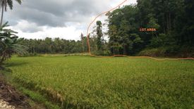 Land for sale in Abucay Sur, Bohol