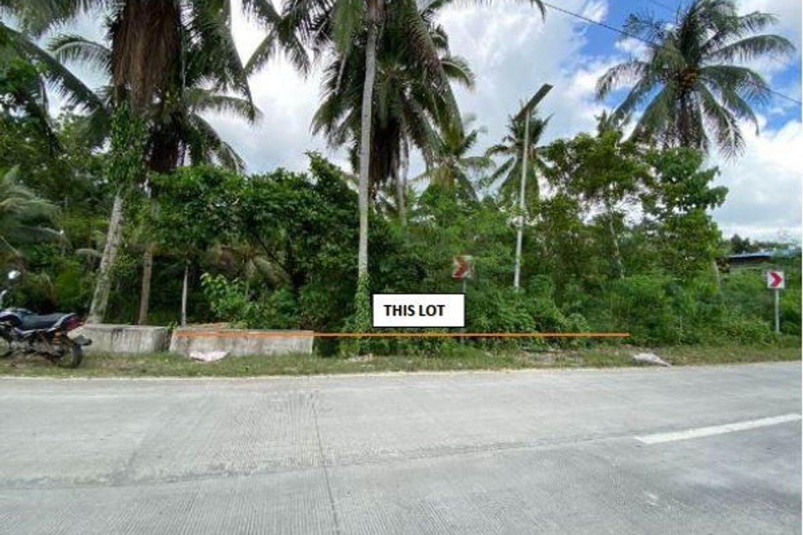 200 sqm Lot for Sale located in San Isidro, Tagbilaran City, Bohol 📌