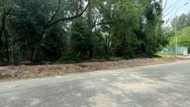 Land for rent in Rawang, Selangor