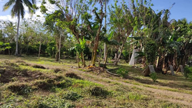 Land for sale in Tabora, Cavite